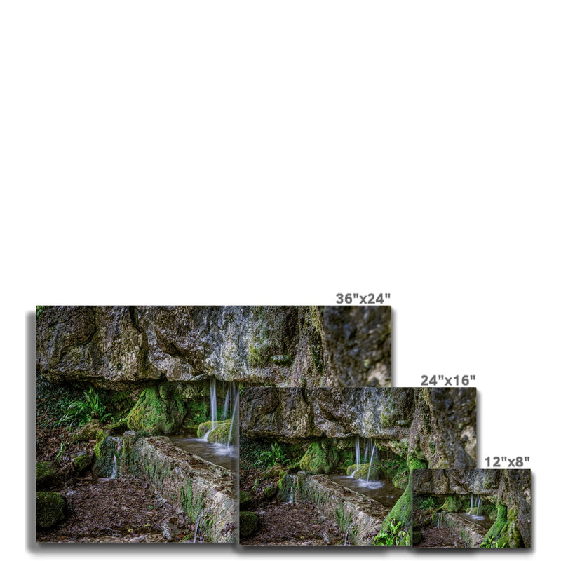 Woodwell basin Canvas