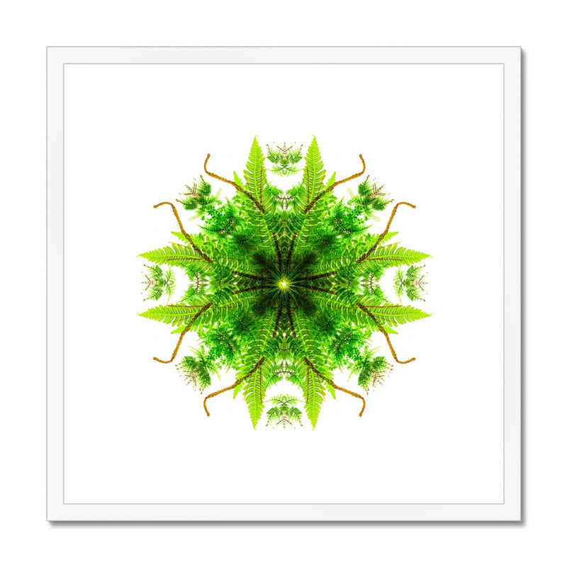 Heart of Nature Framed & Mounted Print