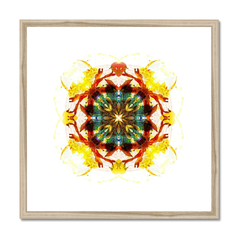 Earth Healing Framed & Mounted Print