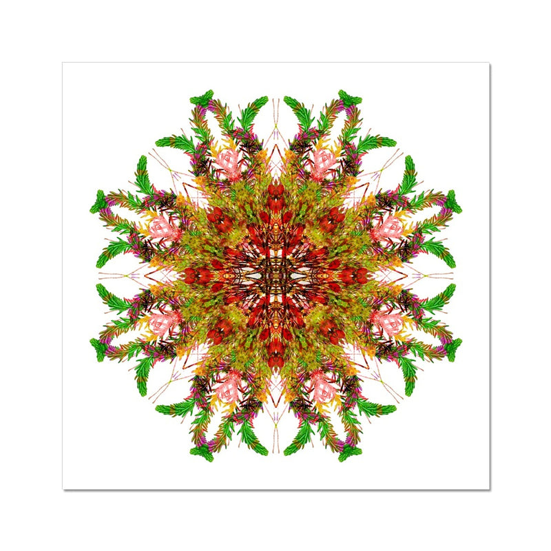 Bounty Mandala Wall Art Poster