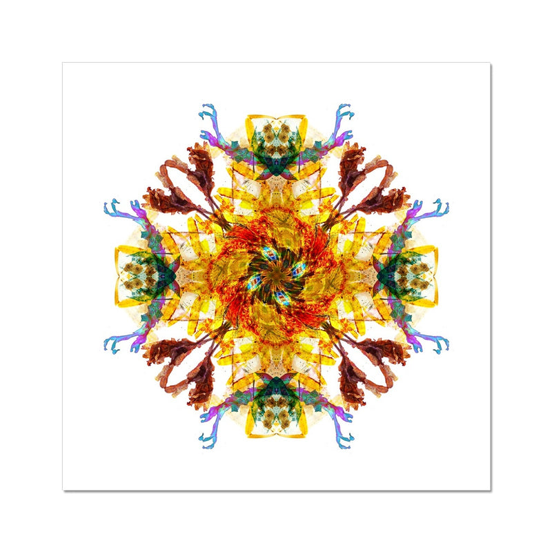 Ancient Wisdom Mandala Hahnemühle Photo Rag Print