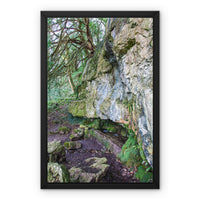 Yew guardian Framed Canvas