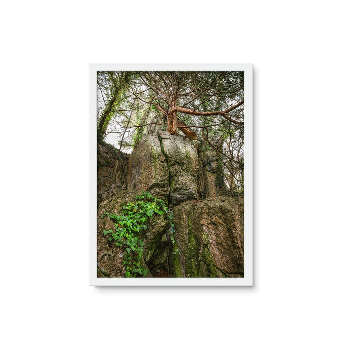 Boulder and Yew Framed Photo Tile