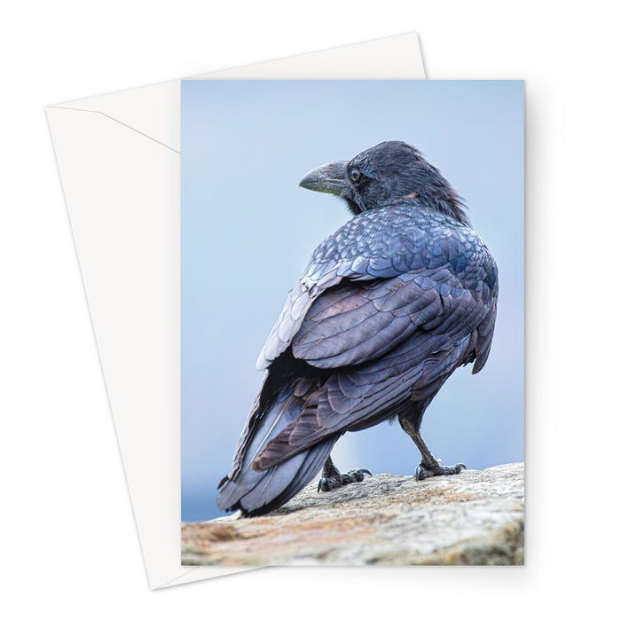 The Raven of Ireland Greeting Card