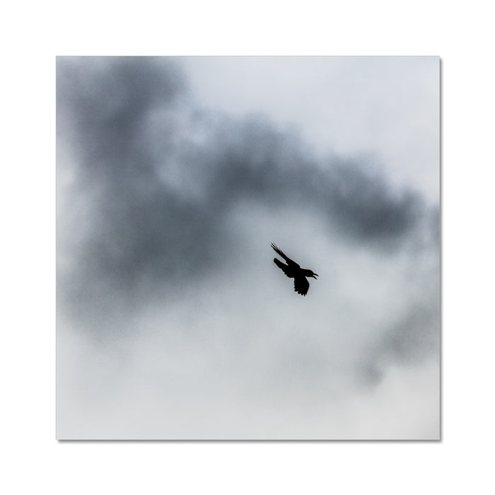 Storm Raven 3 Photo Art Print