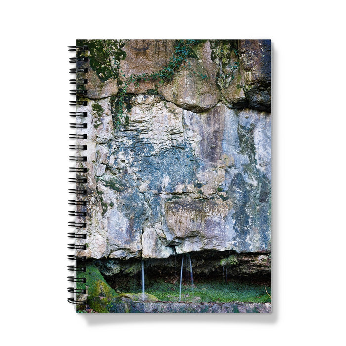 Limestone and Ivy Notebook