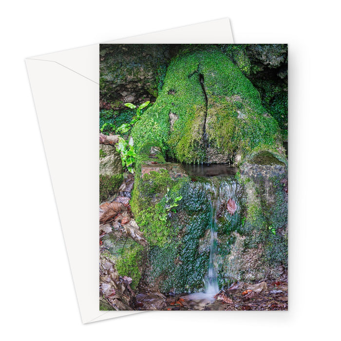 Fairy Hollow Greeting Card