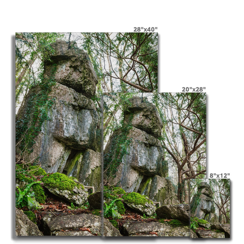 Rock Guardian Canvas
