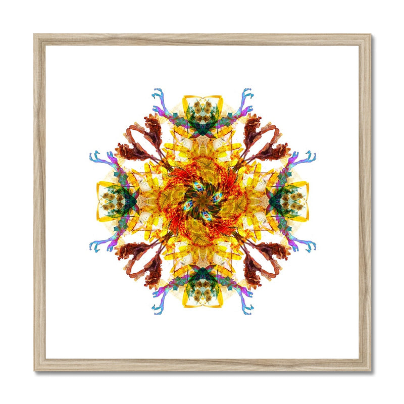 Ancient Wisdom Mandala Framed & Mounted Print