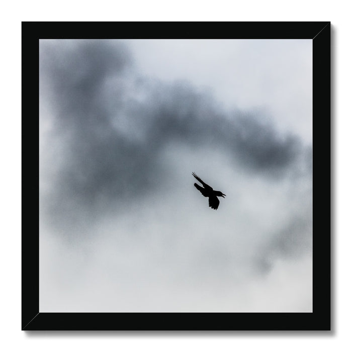 Storm Raven 3 Framed Print