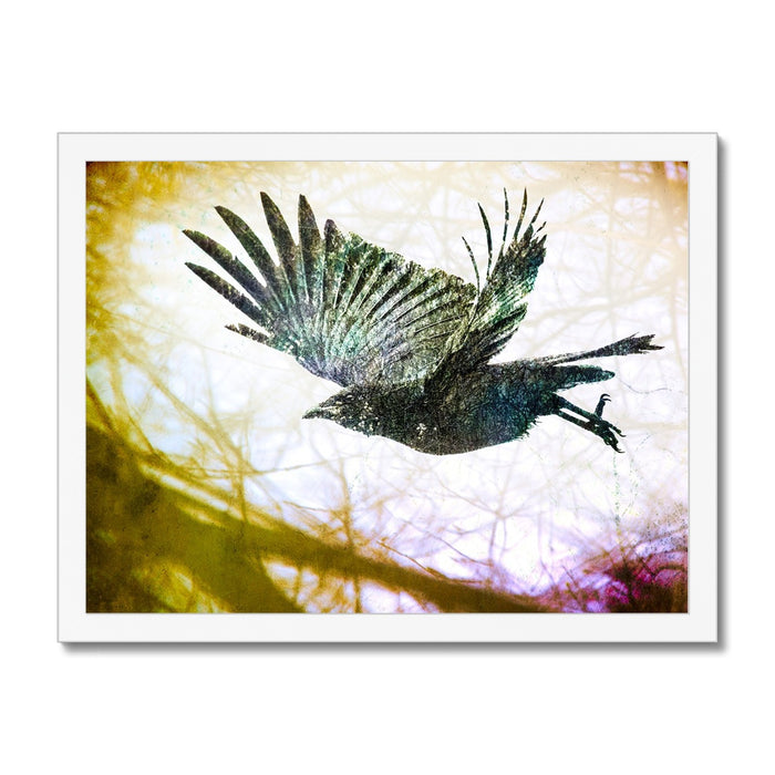 Woodland Crow Framed Print