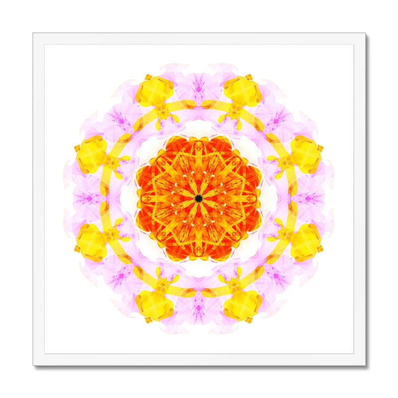 Creativity Mandala Budget Framed Poster