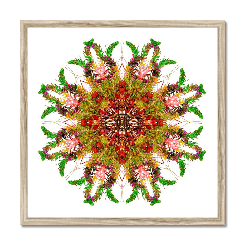 Bounty Mandala Budget Framed Poster