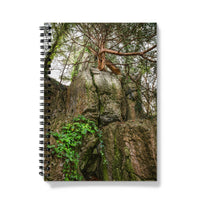Boulder and Yew Notebook