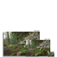 Woodwell Secrets Fine Art Print
