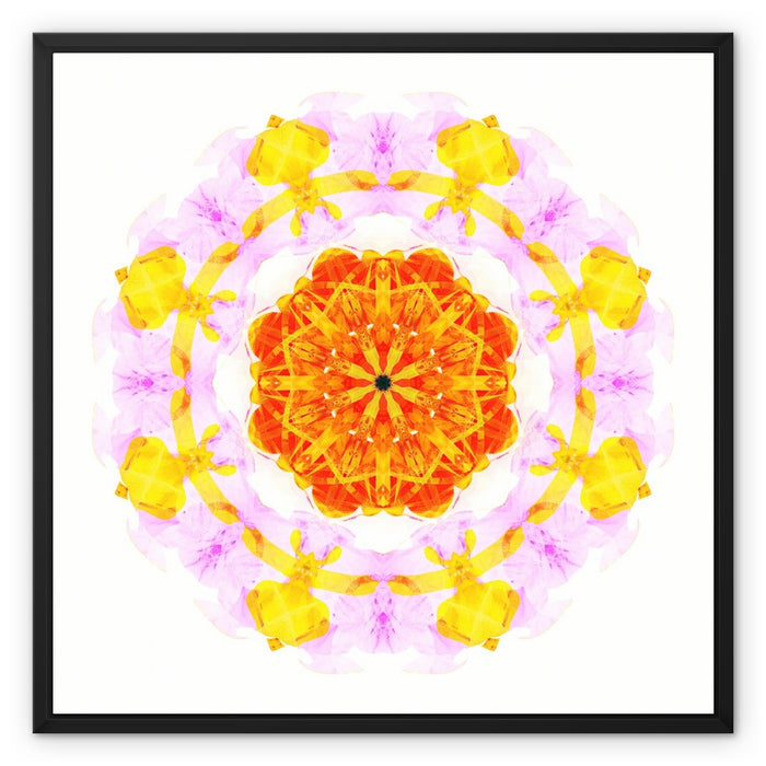 Creativity Mandala Framed Canvas