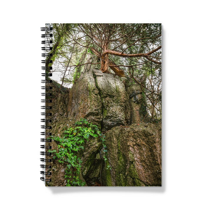 Boulder and Yew Notebook