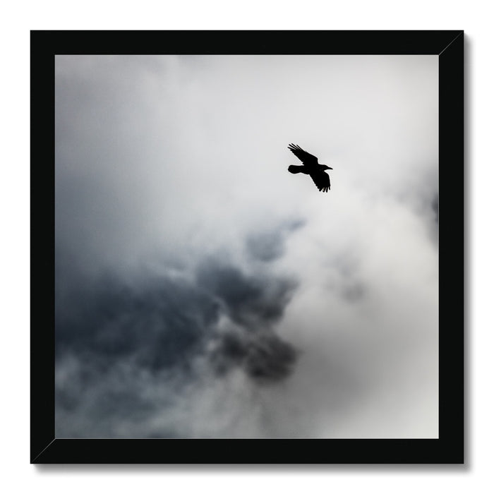 Storm Raven 2 Framed Print