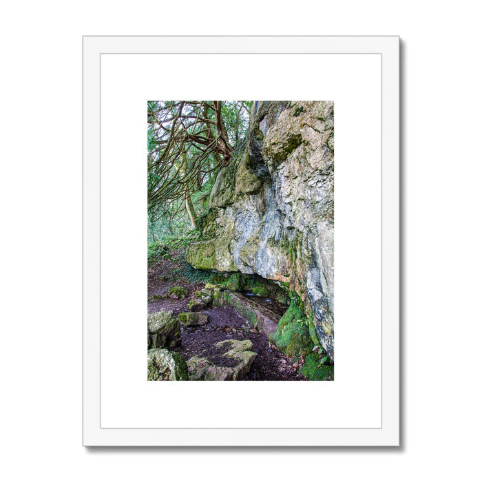 Yew guardian Framed & Mounted Print