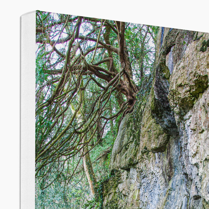 Yew guardian Canvas