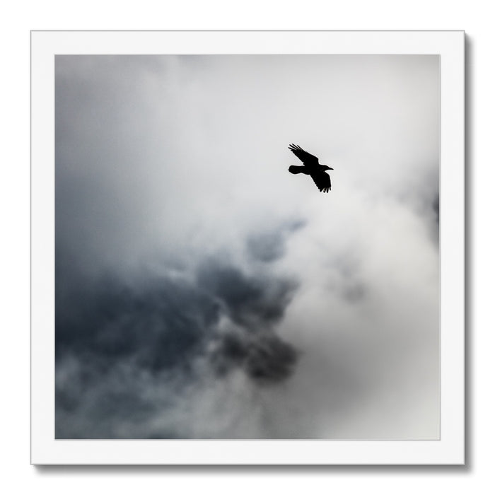 Storm Raven 2 Framed Print