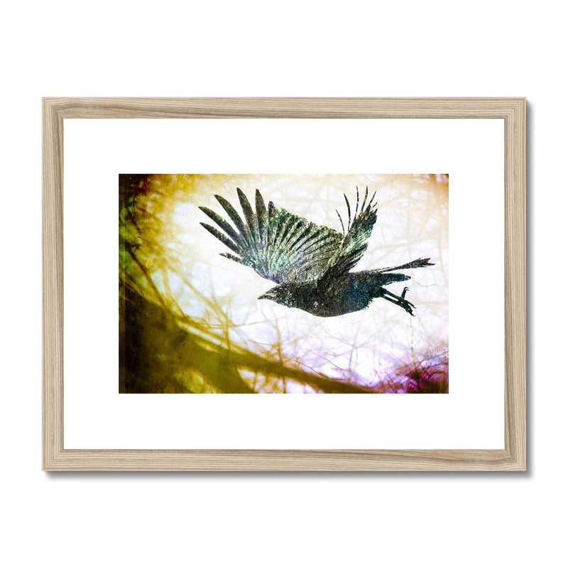 Woodland Crow Framed & Mounted Print