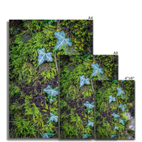Ivy Clad Fine Art Print