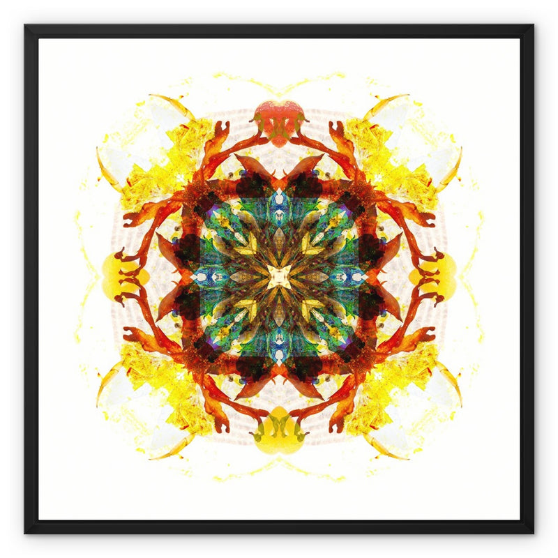 Earth Healing Framed Canvas