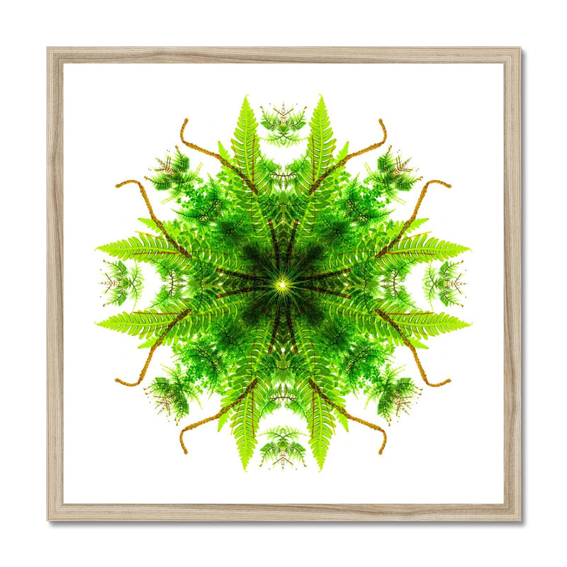 Heart of Nature Budget Framed Poster