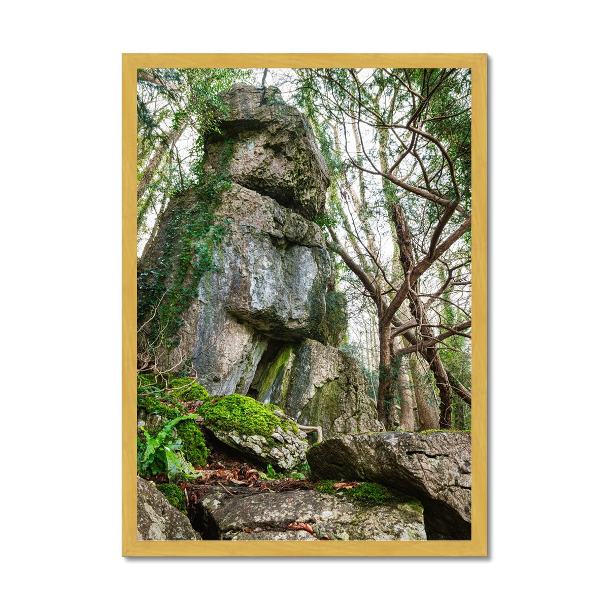 Rock Guardian Antique Framed Print