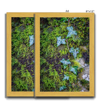 Ivy Clad Antique Framed Print