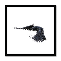 Raven 2 Framed & Mounted Print