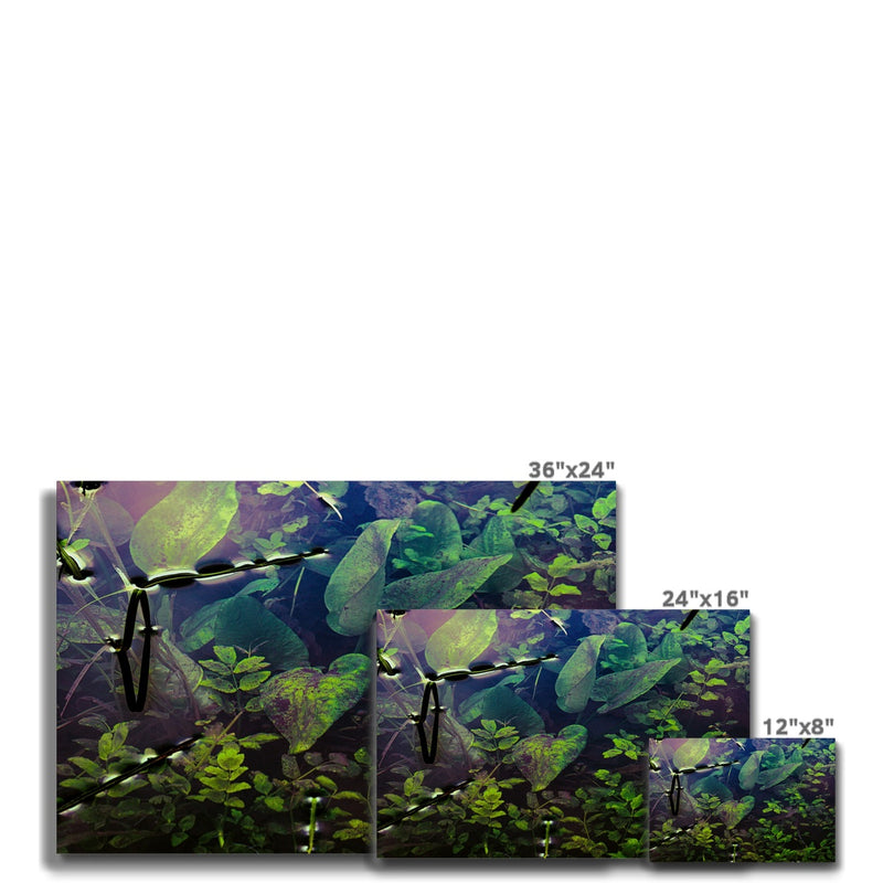 Sacred Pool Canvas