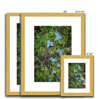 Ivy Clad Antique Framed & Mounted Print