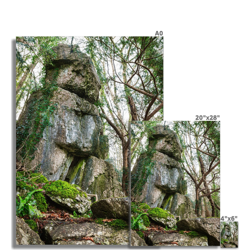 Rock Guardian Fine Art Print