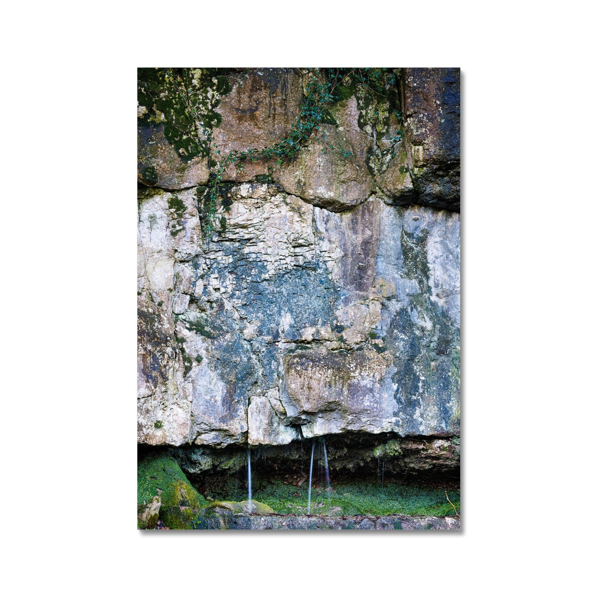 Limestone and Ivy Wall Art Poster