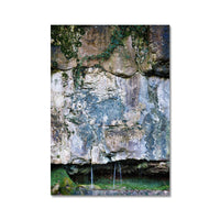 Limestone and Ivy Wall Art Poster