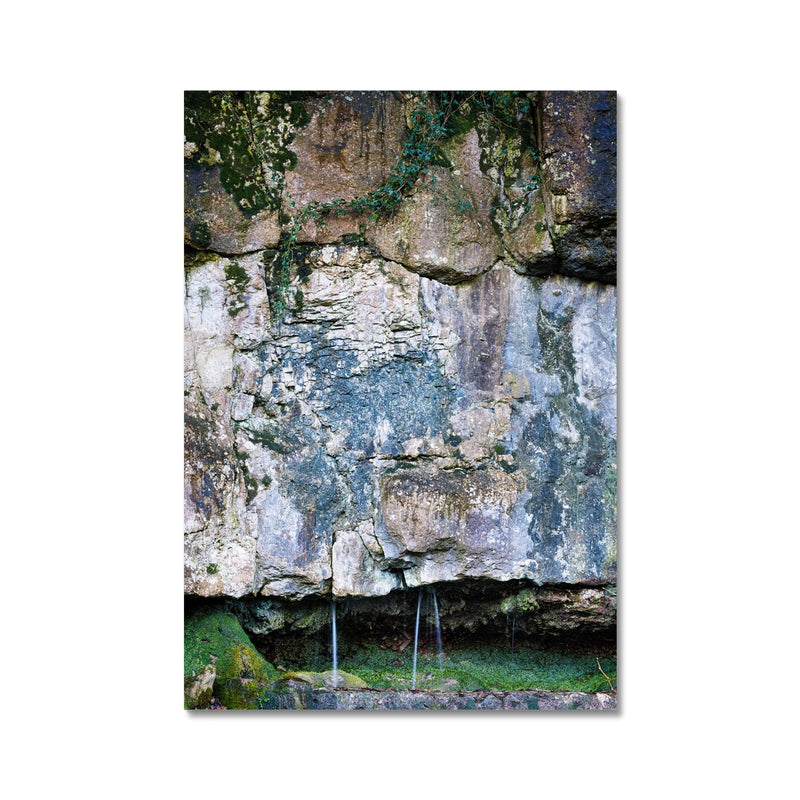 Limestone and Ivy Wall Art Poster