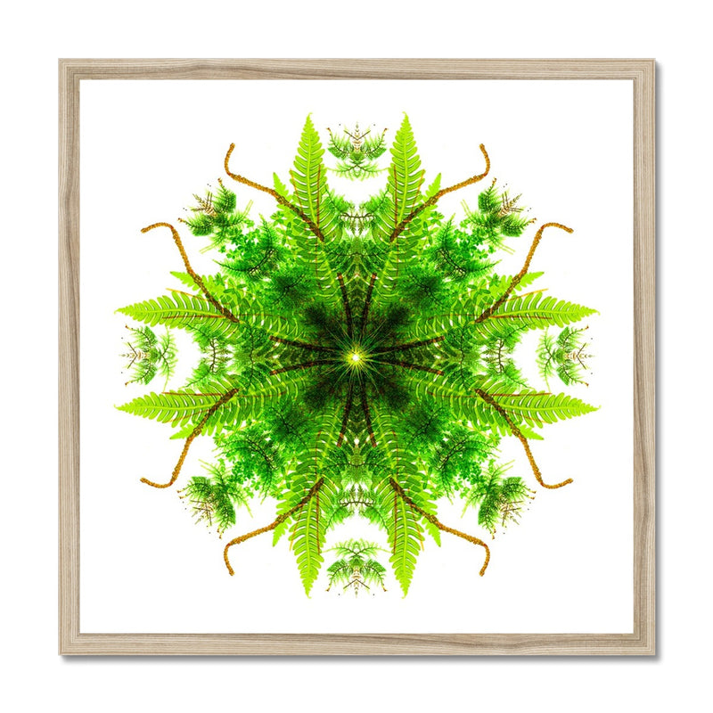 Heart of Nature Framed Print