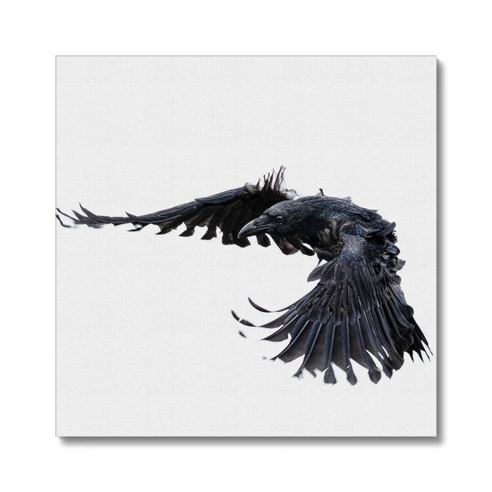 Raven 2 Canvas
