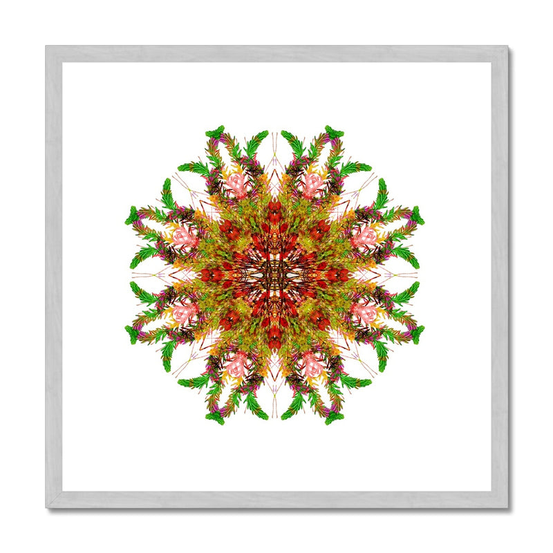 Bounty Mandala Antique Framed & Mounted Print