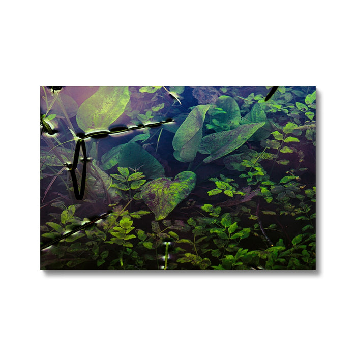 Sacred Pool Canvas