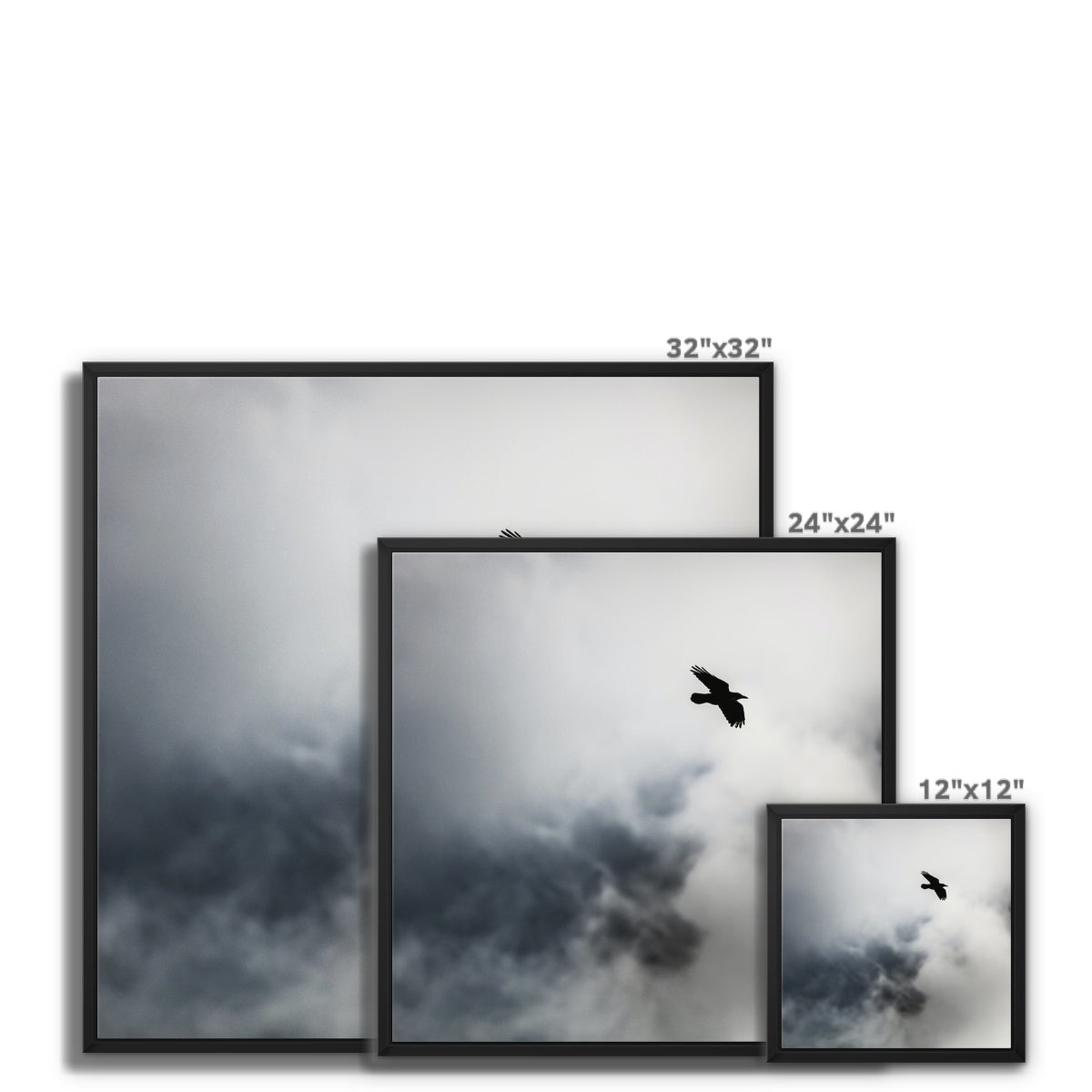 Storm Raven 2 Framed Canvas
