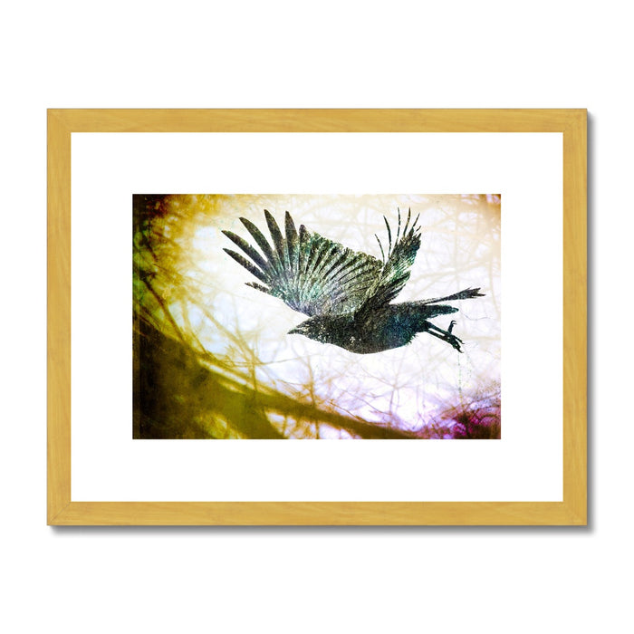 Woodland Crow Antique Framed & Mounted Print