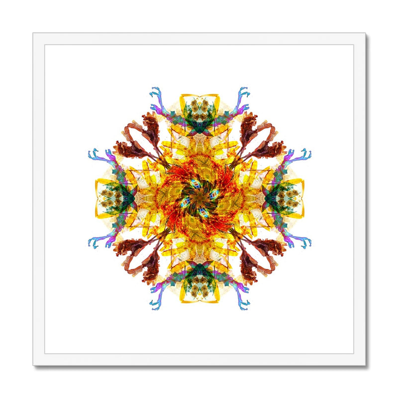 Ancient Wisdom Mandala Framed & Mounted Print