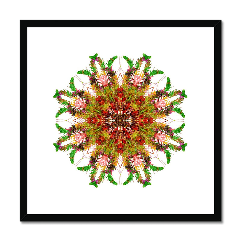 Bounty Mandala Framed & Mounted Print