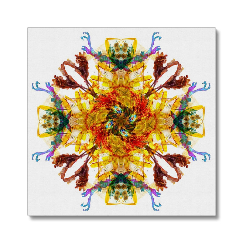 Ancient Wisdom Mandala Canvas