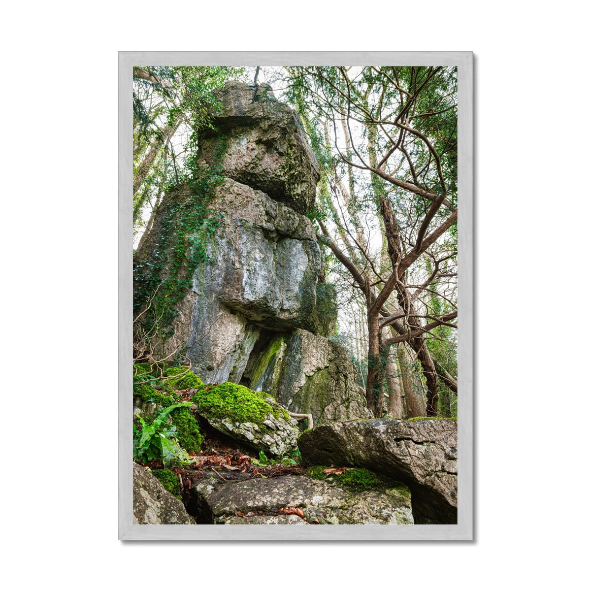 Rock Guardian Antique Framed Print