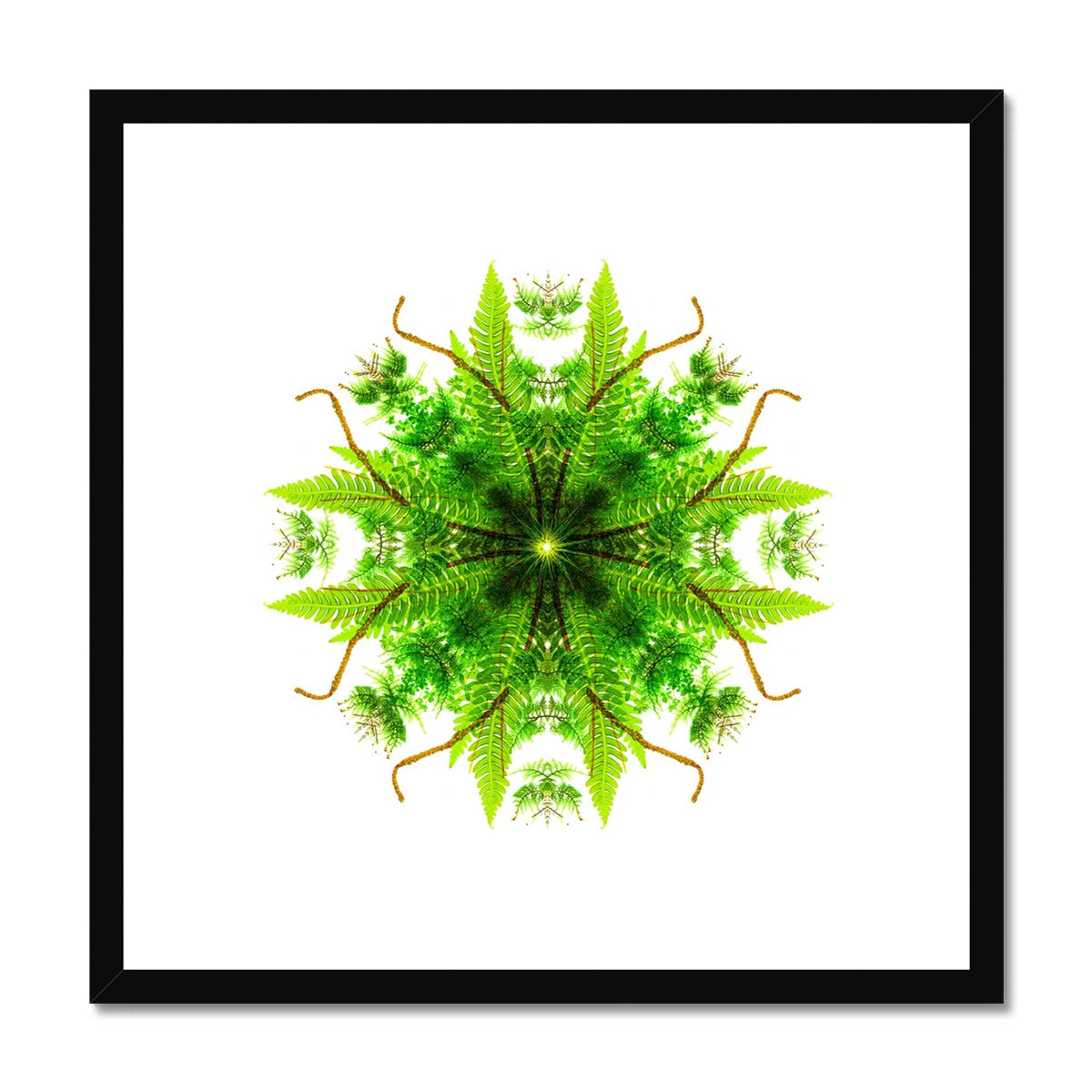 Heart of Nature Framed & Mounted Print