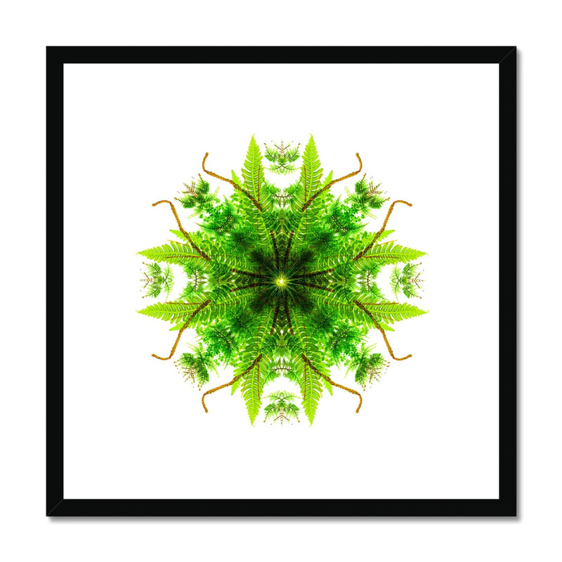 Heart of Nature Framed & Mounted Print